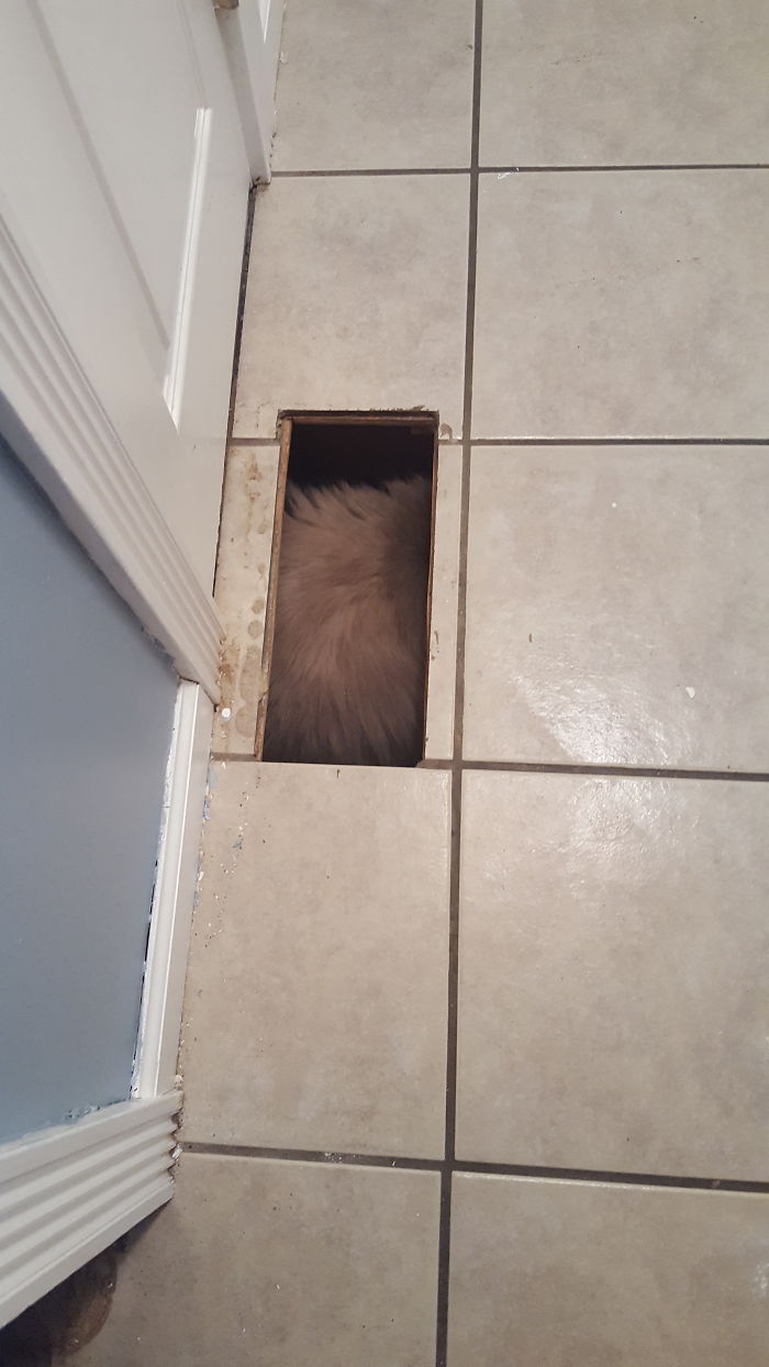 New House, New Hiding Spots!