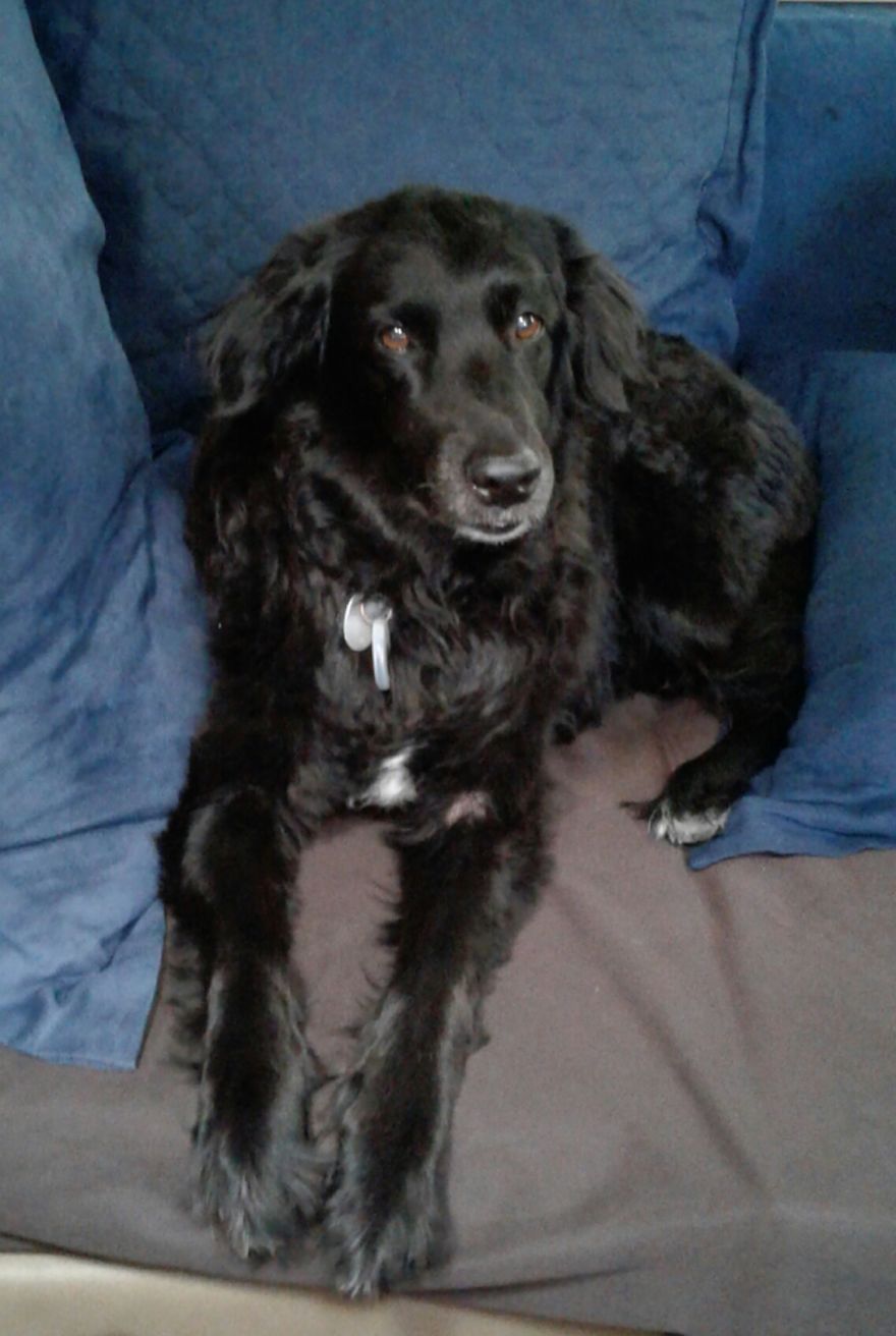 Seamus Chandler And 14 Years Young!!