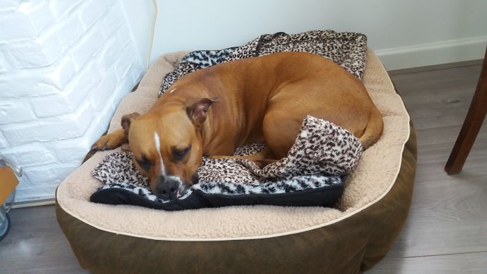 Lekker Nieuw Warm Nestje