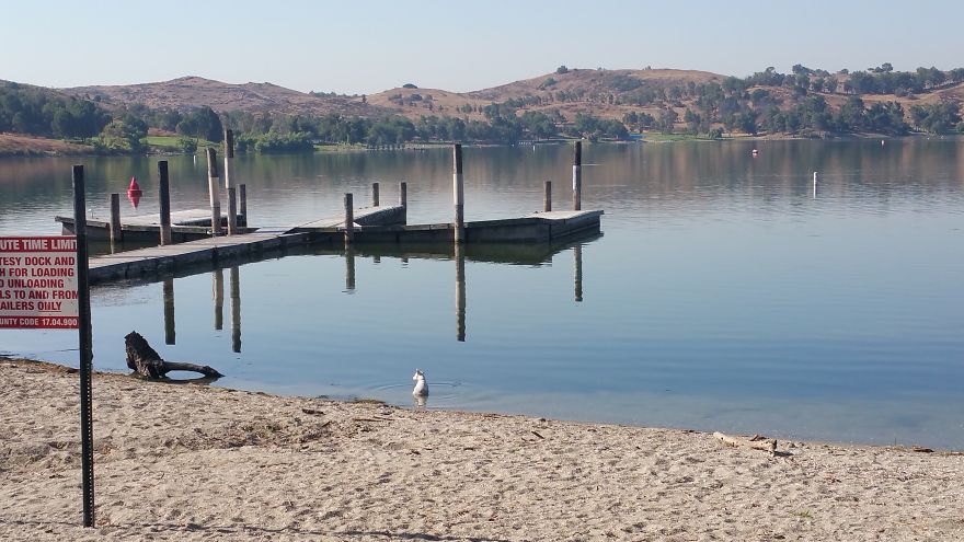 Enjoying Age 16 , Joyjoy A Jrt.