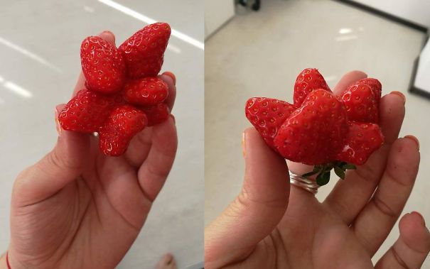 My Patrick Star Strawberry