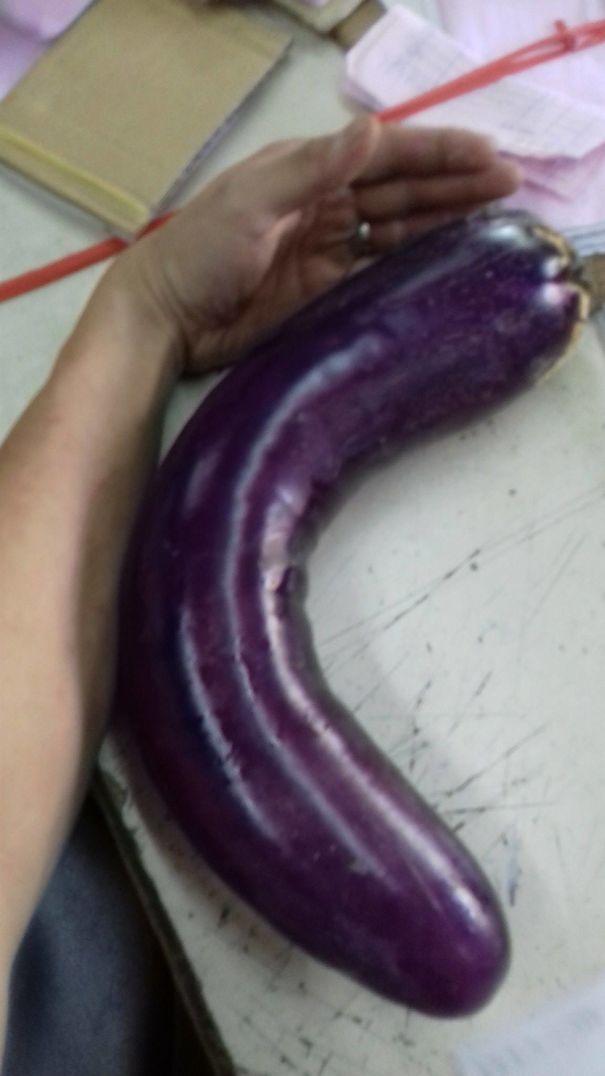 Giant Brinjal