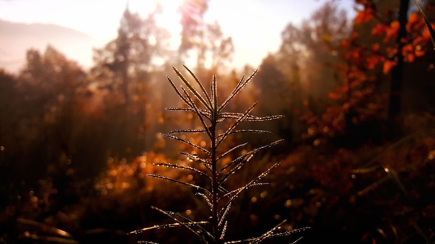 I Want To Show The Beauty Of Poland Using Smartphone (Part 3)