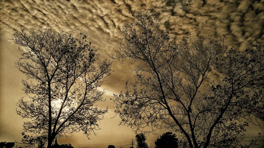 When You Have A 140$ Phone But Passion To Turn It Into A 1000$ Camera