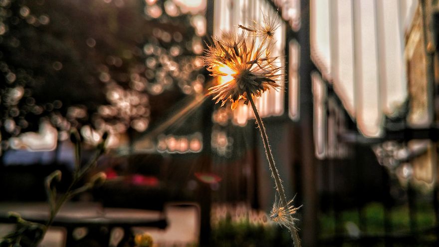 When You Have A 140$ Phone But Passion To Turn It Into A 1000$ Camera