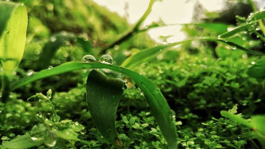 When You Have A 140$ Phone But Passion To Turn It Into A 1000$ Camera