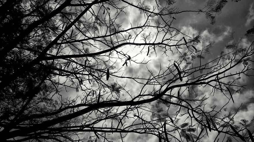 When You Have A 140$ Phone But Passion To Turn It Into A 1000$ Camera