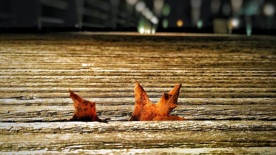 When You Have A 140$ Phone But Passion To Turn It Into A 1000$ Camera