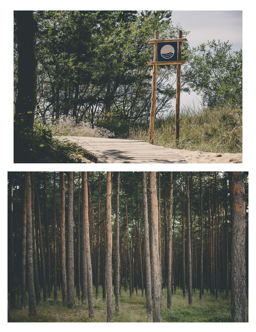 City By The Sea Coast - Palanga!