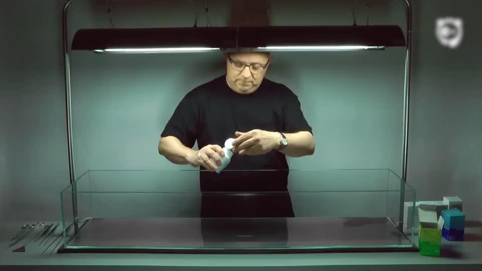 Aquascaping: The Art Of Aquarium Decoration