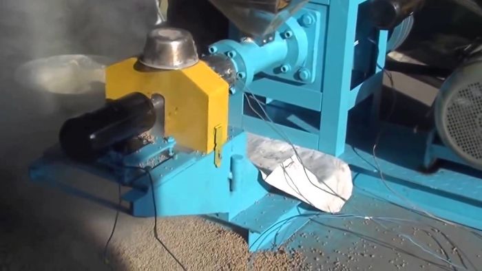 Working Video Of Fish Feed Extruder
