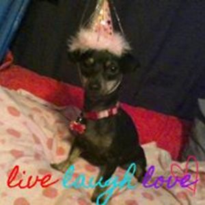 henandsanclark avatar