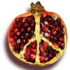 tiffanyvantomme avatar