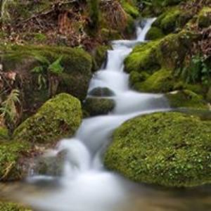 jenniferleighbenson avatar