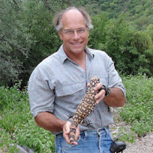 polystictus_1 avatar