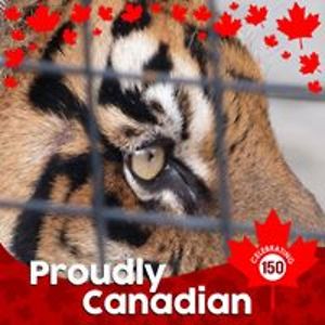 roblongwriter avatar