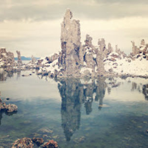 brookssalzwedel avatar