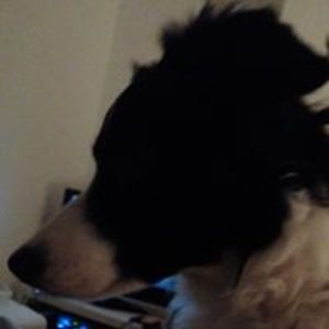 jacqui_sowerby avatar