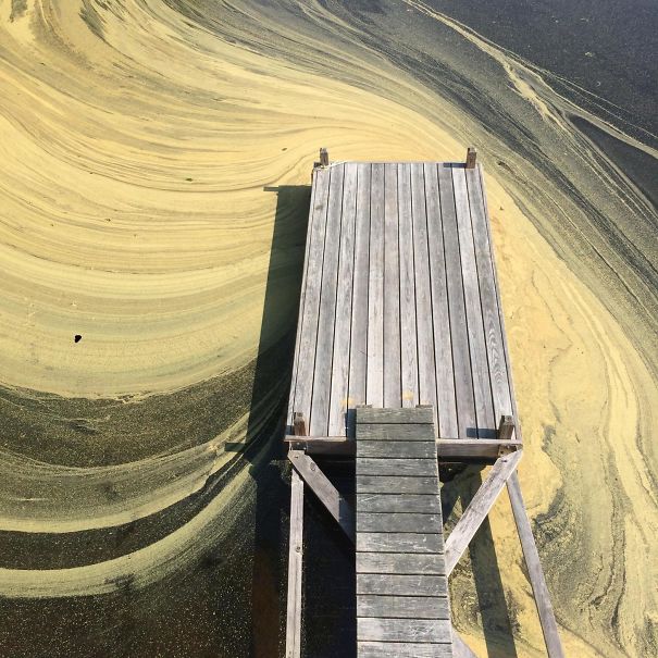 Pollen That Formed On The Water Looks Like Artwork