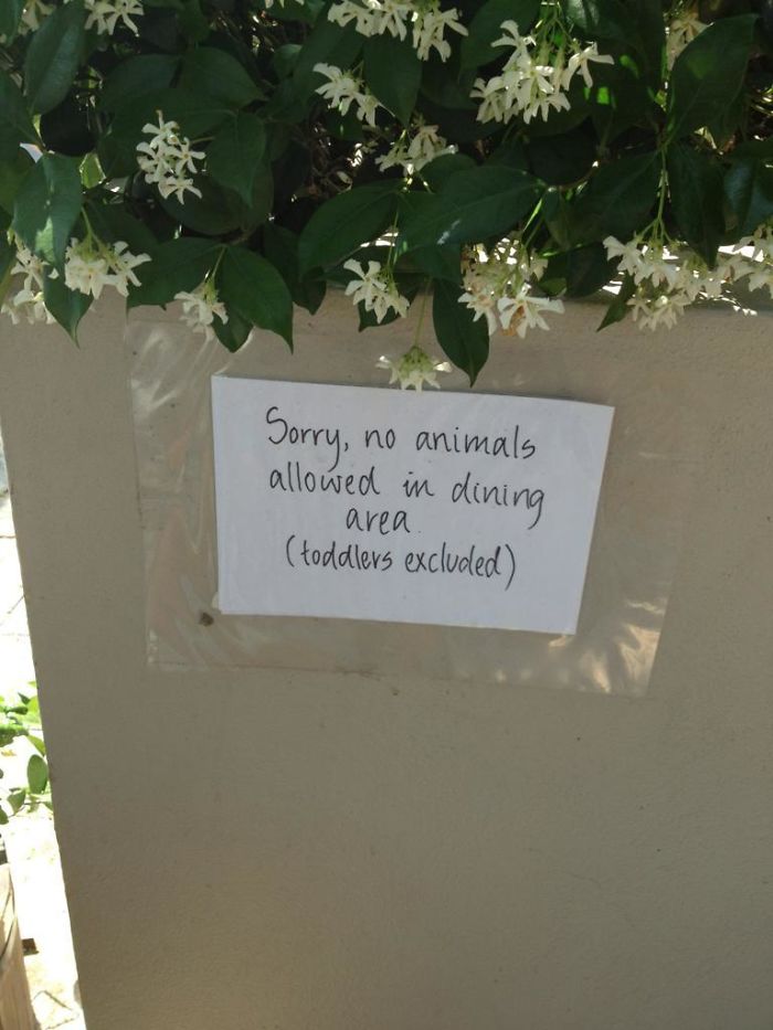 Saw This Sign At A Cafe Near My Place