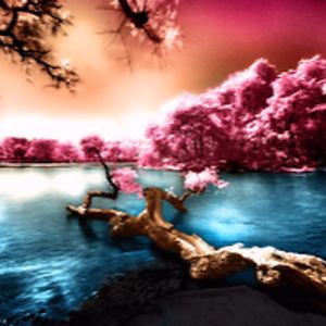 anotherwomaninthecrowd avatar