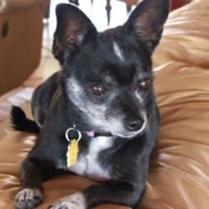 westofthepecossales avatar