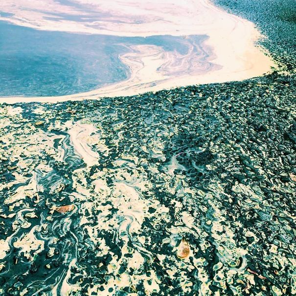 Sidewalk Paint After It Rains Looks Like A Piece Of Modern Art