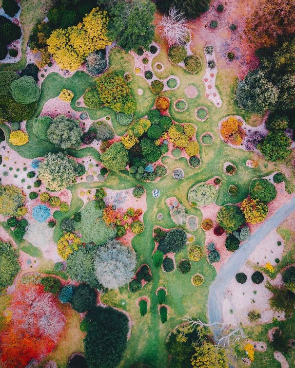 This Aerial Photo Of A Garden Looks Like A Surrealist Painting