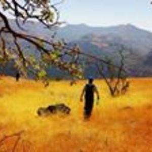 pratap_wolverine avatar