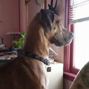 jcquln_zajdel_valdez avatar