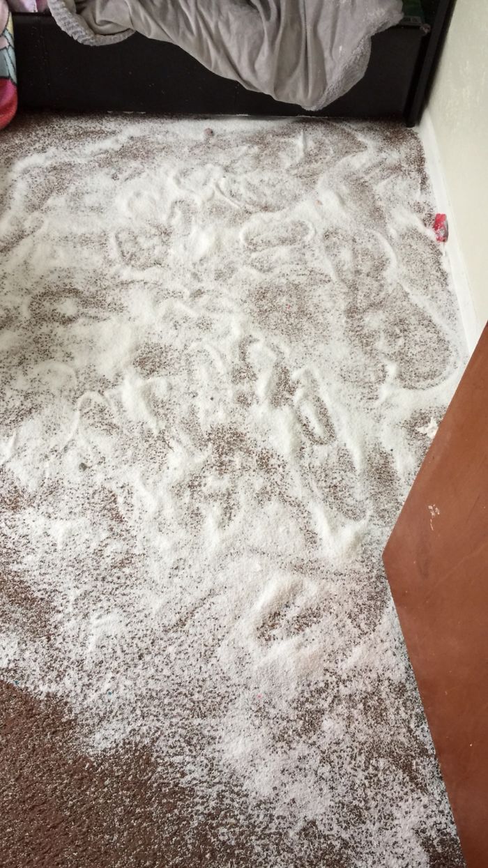 Wondered Why My Kids Were Being So Quiet In Their Room