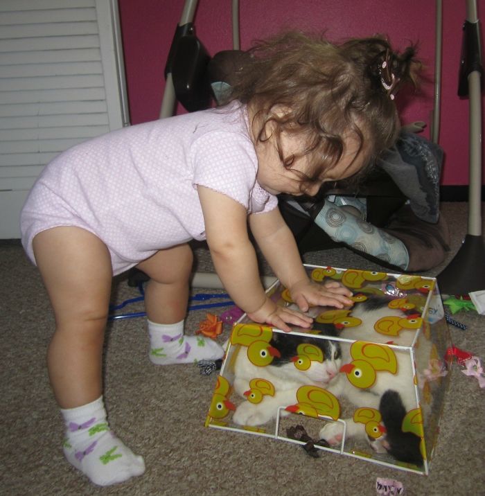 Left My 9 Month Old In Her Room Alone To Play While I Brushed My Teeth. Needless To Say I Ran For The Camera. Poor Uno