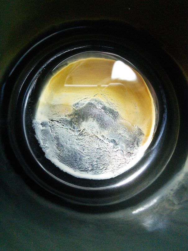 The Creamer Left Some Mildly Interesting Art At The Bottom Of My Mug