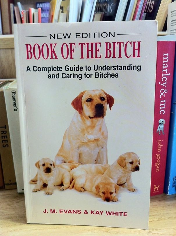 This Book In My Local Thrift Store Caught My Eye