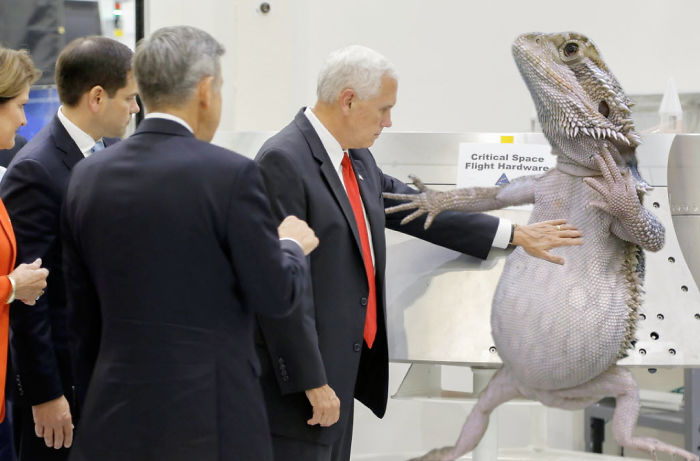 Mike Pence Do Not Touch