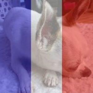 per_o_westling avatar