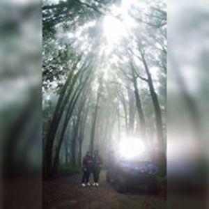 diehardbomber6 avatar