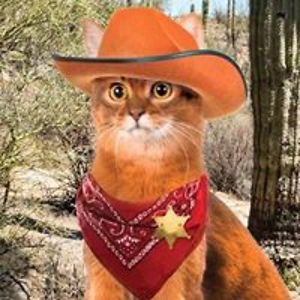 ultrasonicpanda avatar