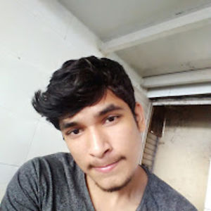 asgarfreemanpresent avatar