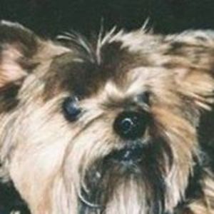 estoyaquidurmiendome avatar