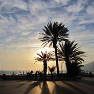 michaelptrott avatar