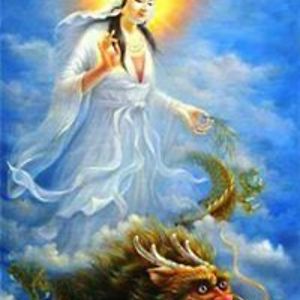 katcoffieldtoo avatar