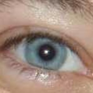 cioccolatablu avatar