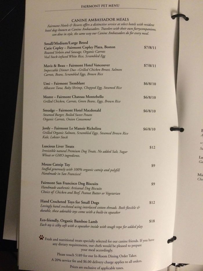 My Hotel's Room Service Menu Has A Whole Page Of Dog Food