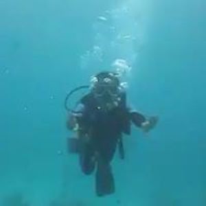 joseph_austria avatar