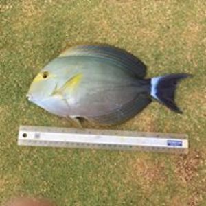 derekclassof03 avatar