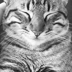 joanachoraferreira avatar