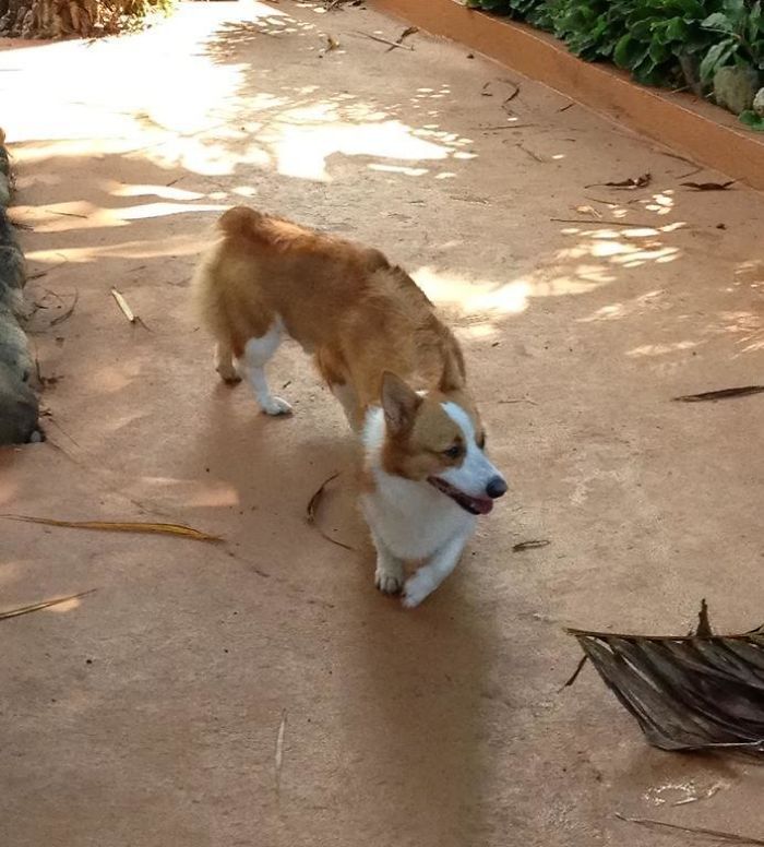 My Dad's Weird Panorama Fail