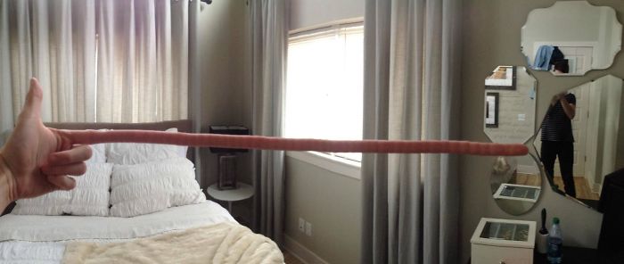 Speaking Of Panoramas