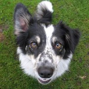 kathryn_southwell avatar